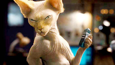 Kitty-Galore-cats-and-dogs-the-revenge-of-kitty-gal.jpg