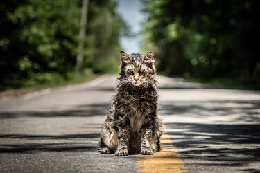 PetSematary1.jpg