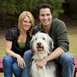 Puppy-Love-Hallmark-14-550x388.jpg