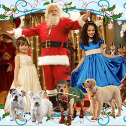 The-Search-For-SaNtA-PaWs_600_450_q50.jpg