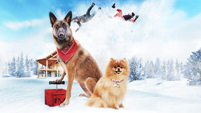 stepdogs.jpg