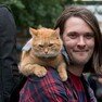 Streetcat-Bob.jpg