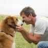 dogpurpose.jpeg